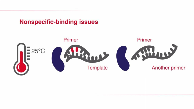 PCR