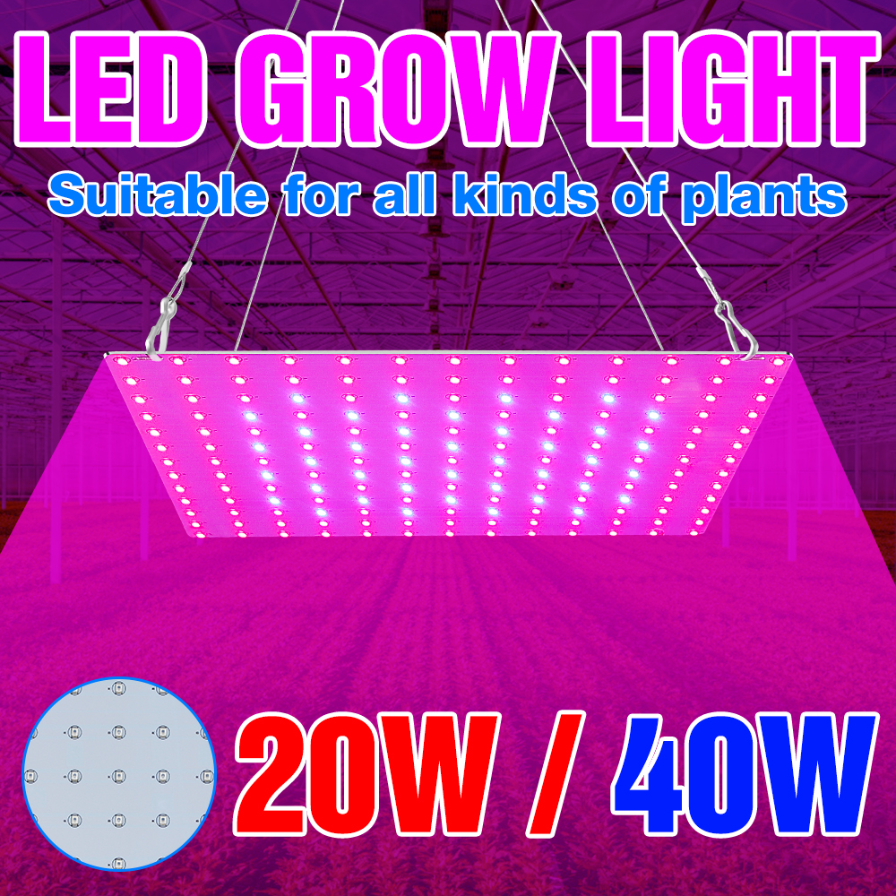 Indoor Grow LED Panel Lamp 40W 20W Plant Seed Cultivation Light US EU UK Plug Hydroponics Phyto Growth Tent Box For Flower Herbs