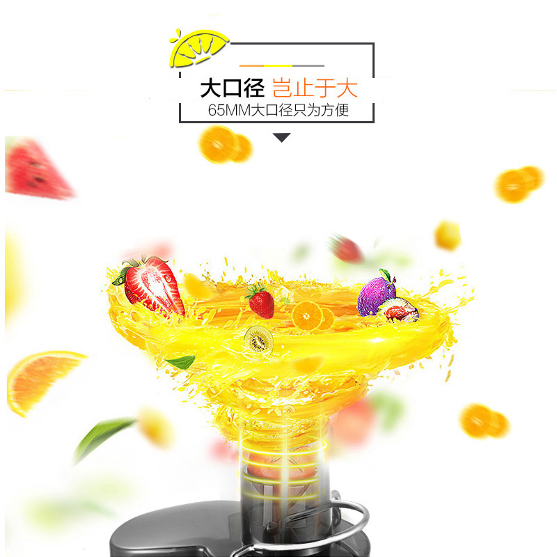 Juicer Household Slag Juice Separation Automatic Fruit and Vegetable Multi-function Fried Juice Machine