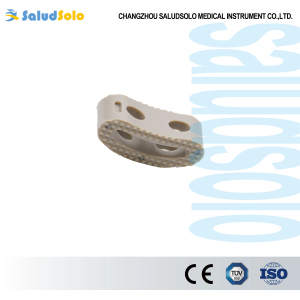 Medical Tlif Peek Cage