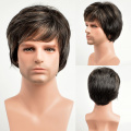 MSIWIGS Men Short Straight Wig Ombre Grey Brown Synthetic Wig White for Male Hair Fleeciness Realistic Natural Headgear