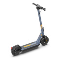 36V 350W motor foldable electric scooters