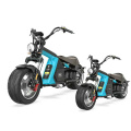 EEC COC Electric M8 Citycoco 60V 2000W 20AH Brushless 12inch Electric Motorcycle Electric Motor Long Range