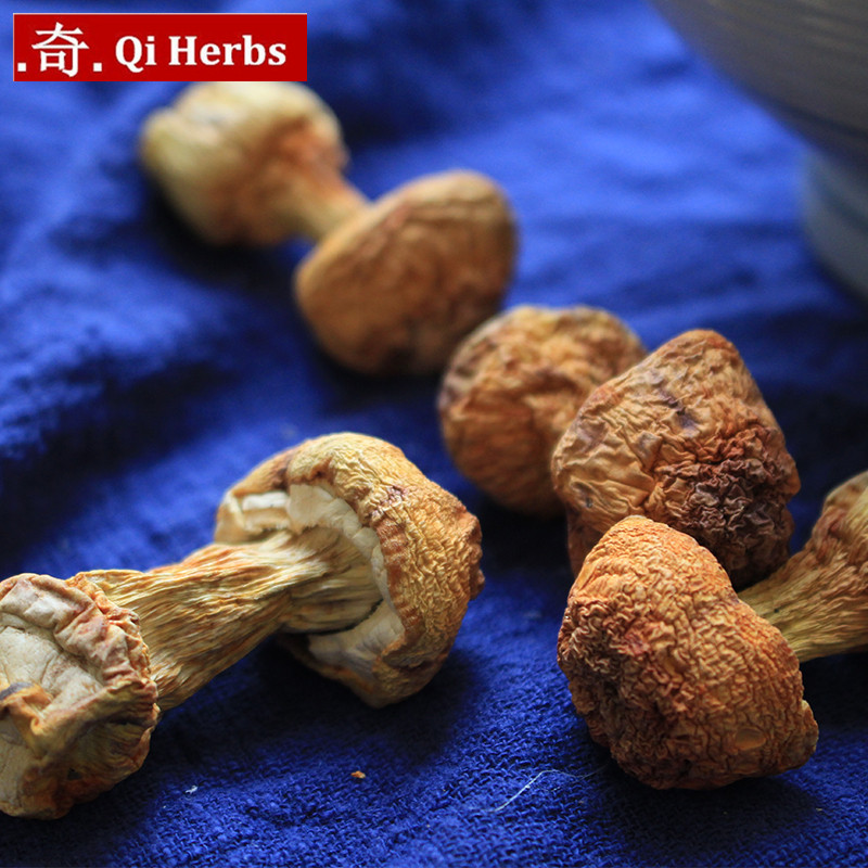 Dried Agaricus Blazei/Tricholoma Matsutake