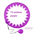 15 sections purple