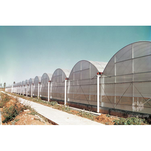 Agriculture Multi Span Film Greenhouse Manufacturers and Agriculture Multi Span Film Greenhouse Suppliers