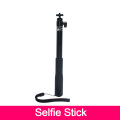 selife stick