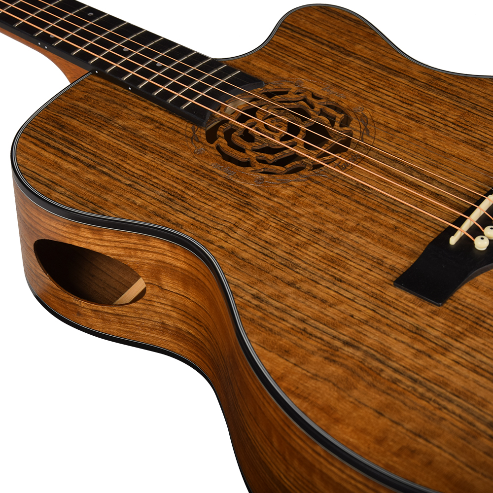 Ts D11 Semi Guitar Ts D11 Semi Guitar