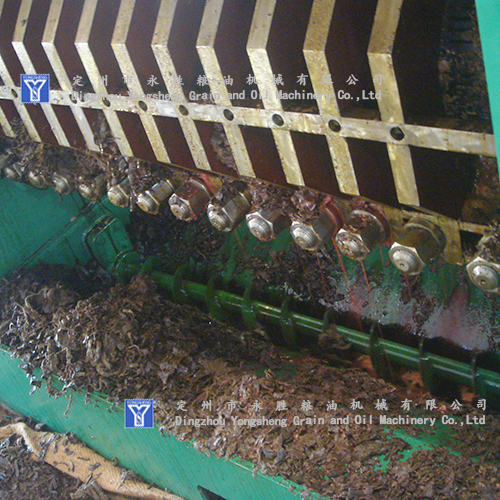 cotton seeds oil pressing machine cotton seeds oil pressing machine
