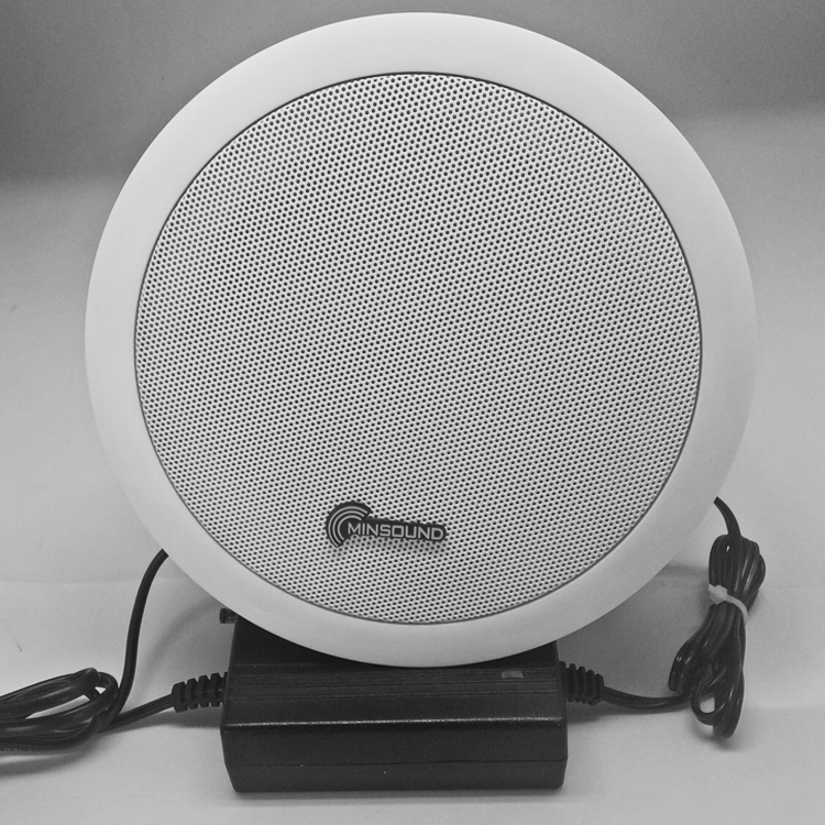 Ceiling Speaker 