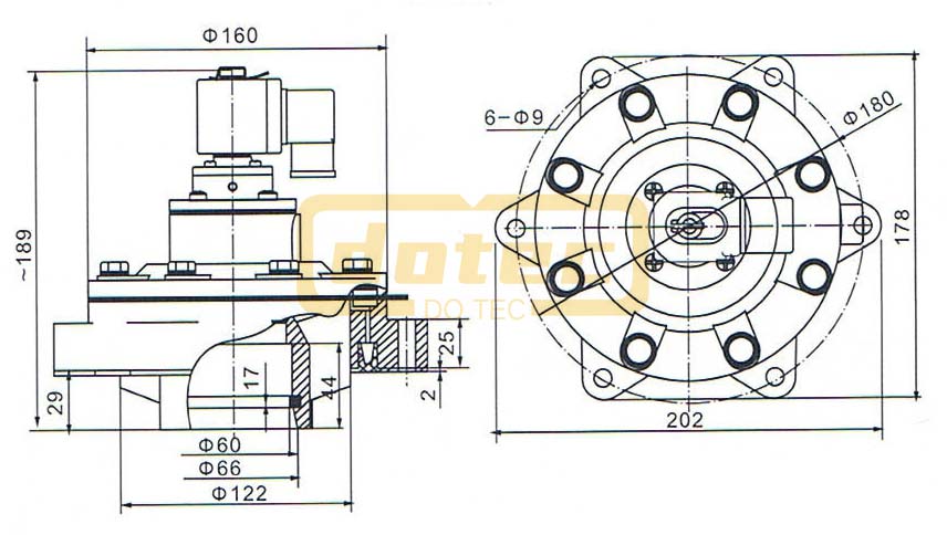 Dmf Y 50s