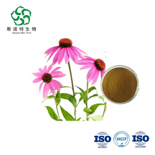 Natural Echinacea Extract/Echinacea Purpurea Extract Powder for Sale, Offer Natural Echinacea Extract/Echinacea Purpurea Extract Powder