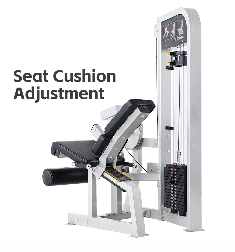 Leg extension traine
