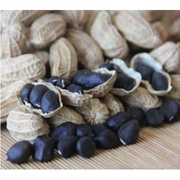 Black Peanuts Rich Selenium Zinc Nutrient Dense