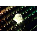 Novelty Shine Through Keycaps 3d printed print printing pla eva00 custom mechanical keyboards light Cherry MX compatible