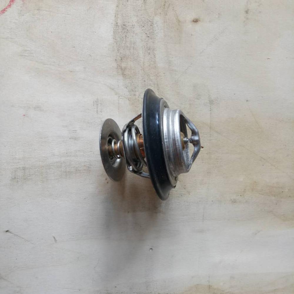 parts thermostat 60248194 for QY25 Crane
