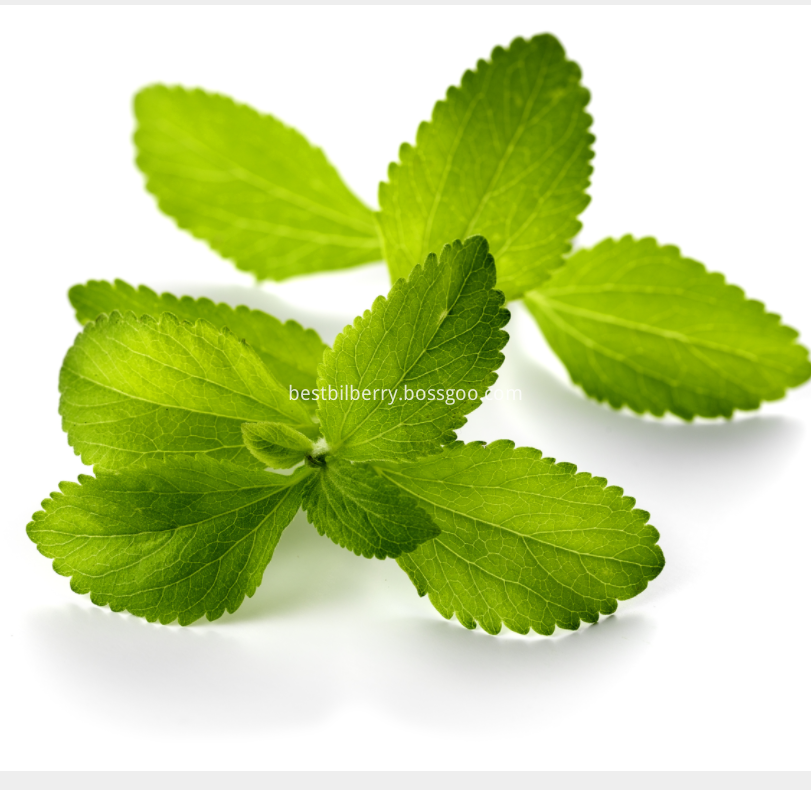 stevia 1