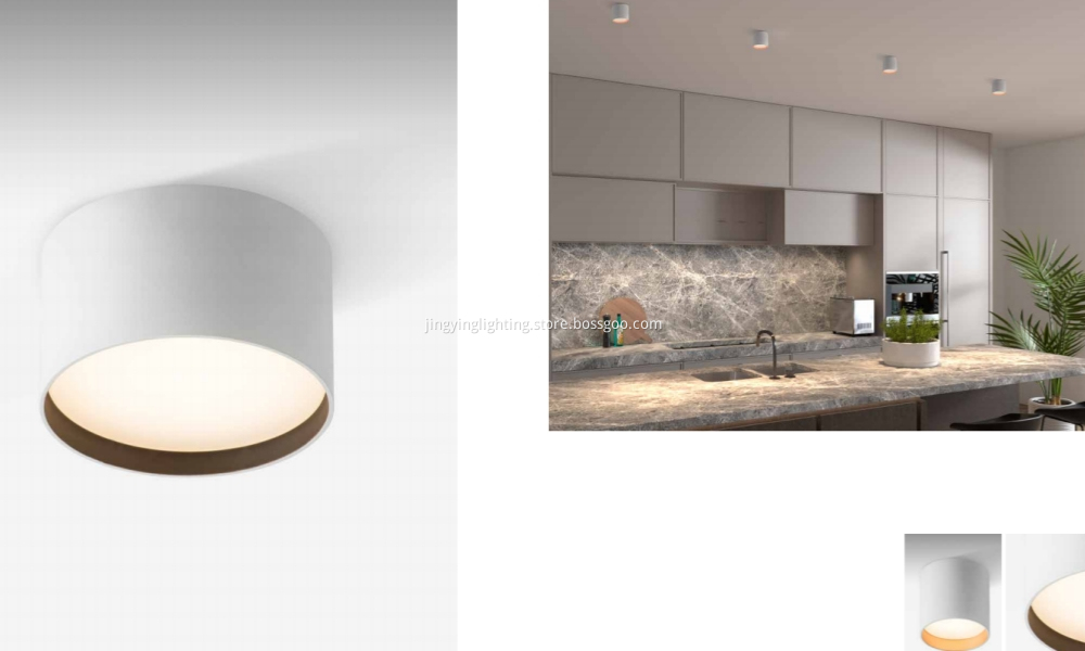 Surface Downlight