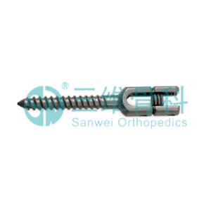 Good Quality for for China Spinal Fixation System,Pedicle Screw,Pedicle Screw Monoaxial Orthopedic Factory Broken Type Cardan Pedical Screw Titanium supply to Mongolia Factory