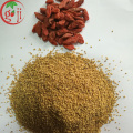 Red Goji Berry Seed /Lycium Barbarum seeds