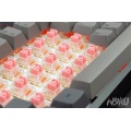 10pcs/pack TTC gold pink keyswitch for customized mechanical keyboard compatible with MX series switch dustproof 3 pins