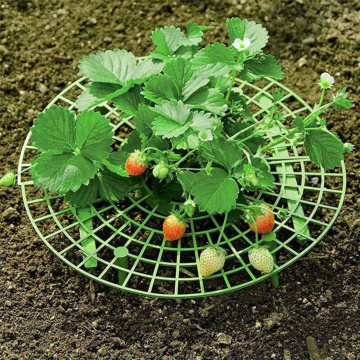 5/10pcs Garden Supplies Plastic Strawberry Plant Growing Supports Rainy Days Keep Strawberries Berries Clean Anti-corrosion