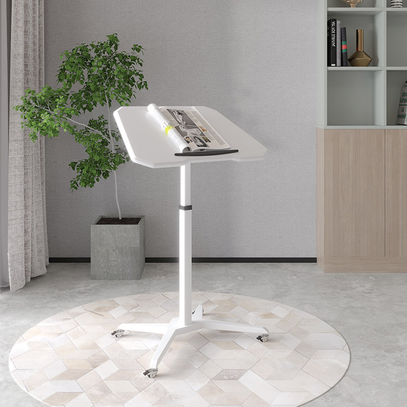 Laptop Standing Desk