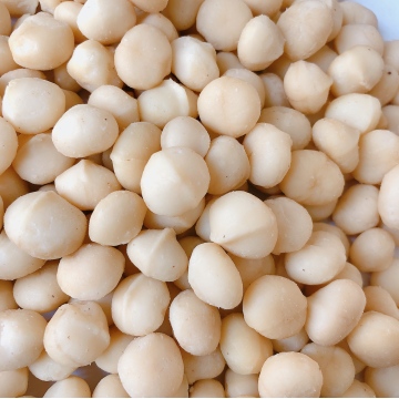 12-14mm No. 1ss Macadamia Whole kernel