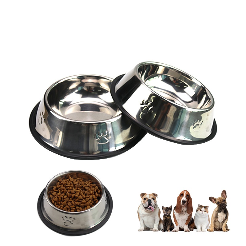 Dog Bowl No Spill