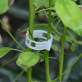 50pcs/Lot Reusable 25mm Plastic Plant Support Clips clamps For Plants Hanging Vine Garden Greenhouse Vegetables Tomatoes Clips