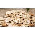 High Quality Dry Pumpkin Seeds Food