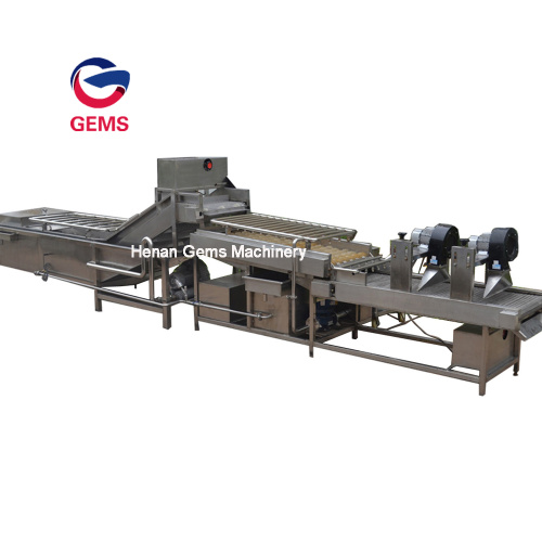 Pineapple Cleaning Machine Citrus Cucumber Cleaning Machine for Sale, Pineapple Cleaning Machine Citrus Cucumber Cleaning Machine wholesale From China