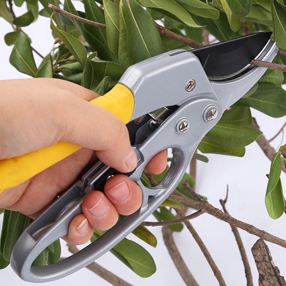 Pruning Shear Fruit Picking Scissors Trim Weed Hand Pruner Clippers Gardening Plant Sharp Branch Multifunctional Garden Tools