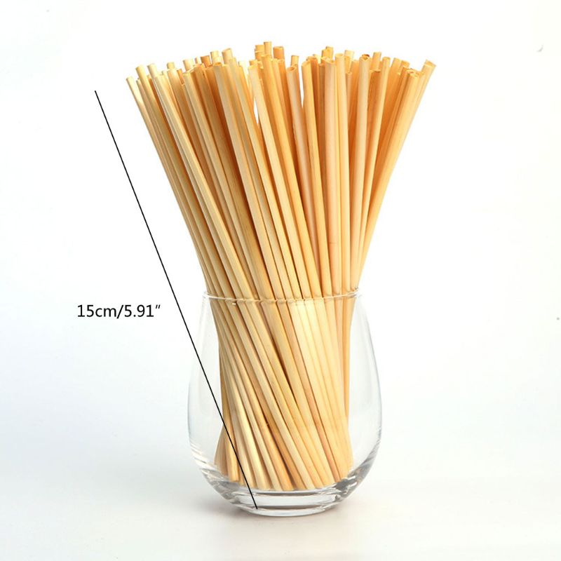600Pcs Biodegradable Wheat Drinking Straws Flavorless BPA-Free Compostable Straw 449C