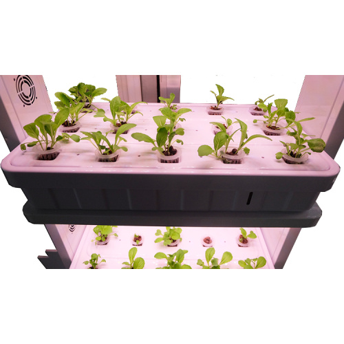 Simple Led Grow Light Hydroponic Systems Grow System Manufacturers and Simple Led Grow Light Hydroponic Systems Grow System Suppliers