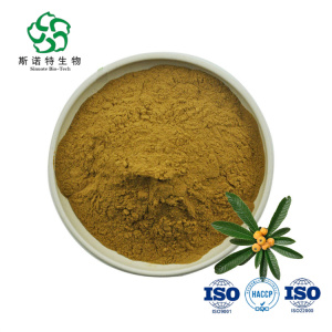 Loquat Leaf Extract Ursolic Acid