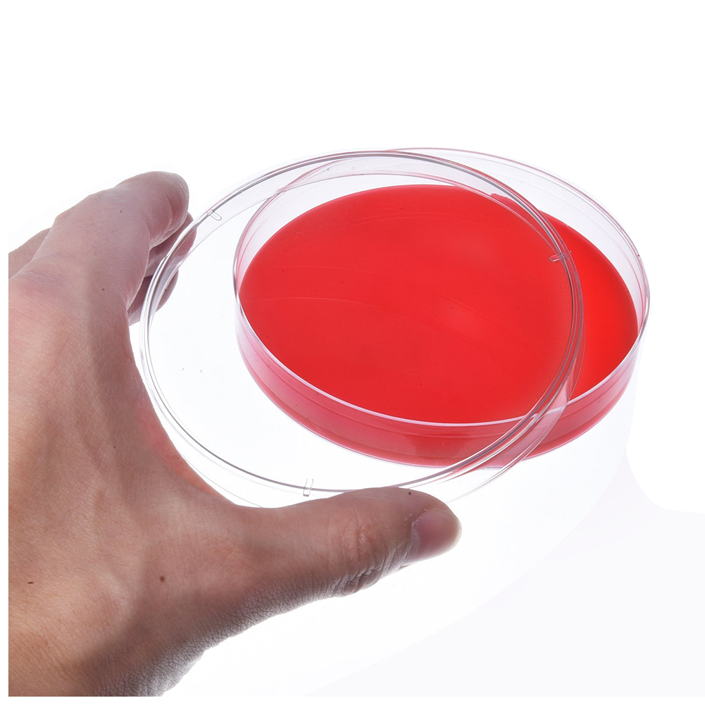 New Plastic Petri Dish Sterile Dishes with Lid, 100 mm and 60 mm, 20 Pcs