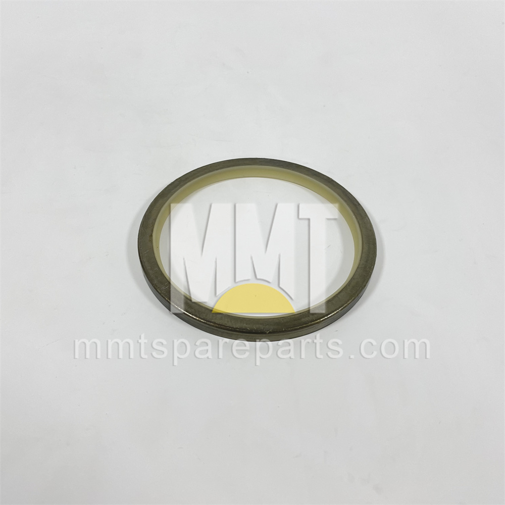 Steel Faced Rubber Dust Lip Type Sea 9x-4598