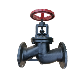 pn40 cast iron globe valve for water