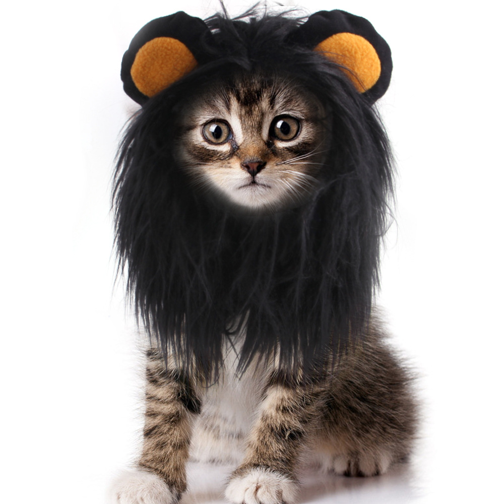 Cat Costumes