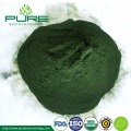 Spray dried Organic Spirulina Powder