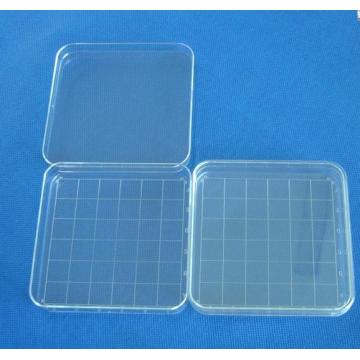 10pcs clear 10*10cm square plastic petri dish with cover,culture dish, free shipping