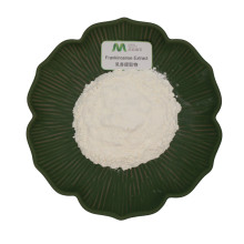Natural Boswellin Mastic Gum Extract Powder Bulk