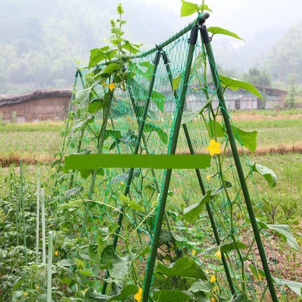 Garden Plants Climbing Net Plastic Fruit Vegetable Flower Vine Garden Cucumber Plaid Netting Grow Net Holder Supplies AD
