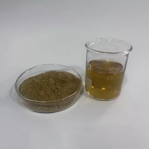 High Quality Boletus Edulis Mushroom Extract for Sale, Offer High Quality Boletus Edulis Mushroom Extract