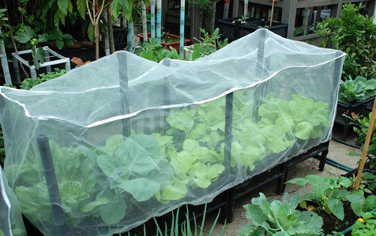 Insect-Proof Net