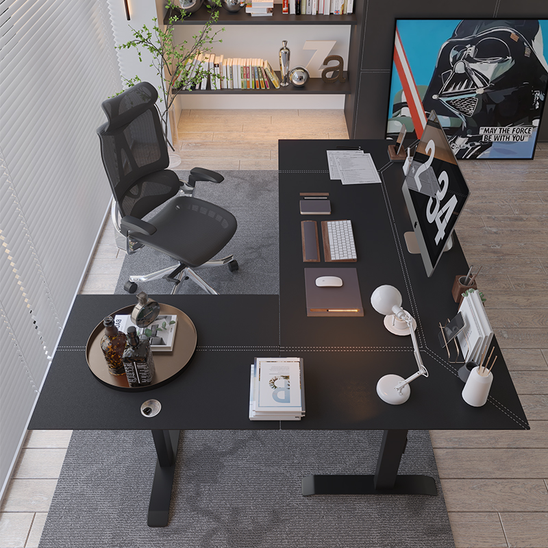 Electric Standing Desk Frame
