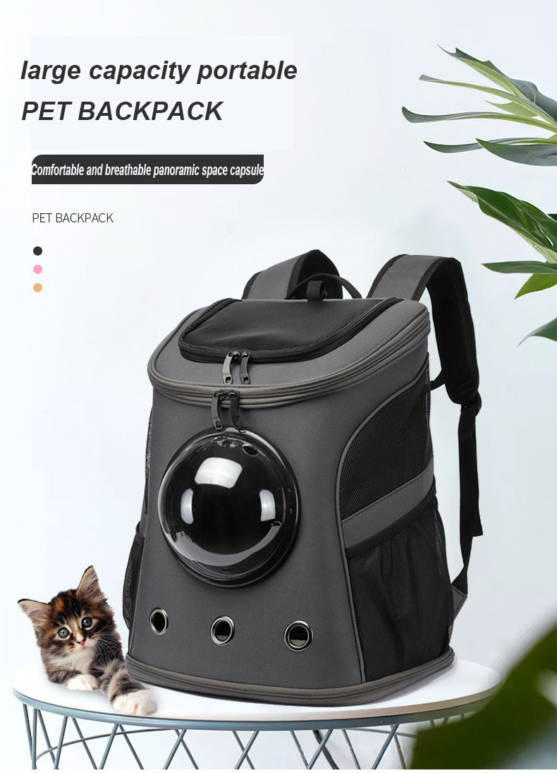 Pet Travel Carrier