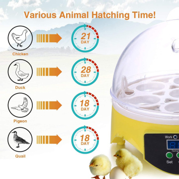 7 Eggs Chicken Bird Eggs Incubator Parrot Brooder Automatic Intelligent Quail for Household Animal Chicken Accessories