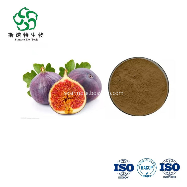 Fig Fruit Juice Powder